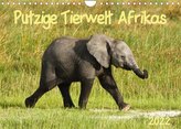Putzige Tierwelt Afrikas (Wandkalender 2022 DIN A4 quer)