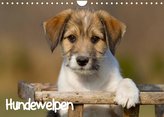 Hundewelpen (Wandkalender 2022 DIN A4 quer)