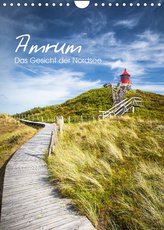 Amrum - Das Gesicht der Nordsee (Wandkalender 2022 DIN A4 hoch)