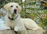 Labrador Retriever 2022 (Wandkalender 2022 DIN A4 quer)