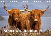 Schottische Hochlandrinder. Freundlich, schön und robust (Tischkalender 2022 DIN A5 quer)