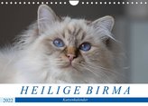 Heilige Birma Katzenkalender (Wandkalender 2022 DIN A4 quer)
