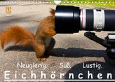 Eichhörnchen (Wandkalender 2022 DIN A4 quer)