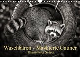 Waschbären - Maskierte Gauner (Wandkalender 2022 DIN A4 quer)