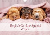 English Cocker Spaniel Welpen (Wandkalender 2022 DIN A4 quer)