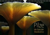 Pilze - die Stars der Waldbühne (Wandkalender 2022 DIN A4 quer)