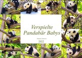 Pandabär Babys (Wandkalender 2022 DIN A4 quer)