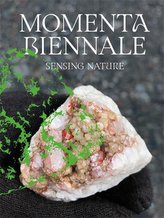 MOMENTA Biennale de l\'image
