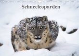 Schneeleoparden (Wandkalender 2022 DIN A4 quer)