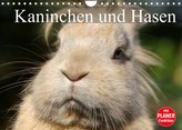 Kaninchen und Hasen (Wandkalender 2022 DIN A4 quer)