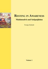 Resting in Awareness (Volume 1)