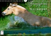Fjordpferde - Norweger (Wandkalender 2022 DIN A4 quer)