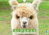 Alpakas: Wuschelköpfe aus den Anden - Edition lustige Tiere (Wandkalender 2022 DIN A4 quer)