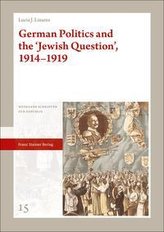 German Politics and the \'Jewish Question\', 1914-1919