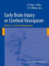 Early Brain Injury or Cerebral Vasospasm - Volume 2