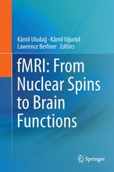 fMRI: From Nuclear Spins to Brain Functions