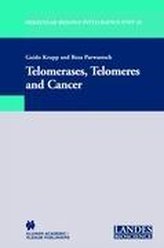 Telomerases, Telomeres and Cancer