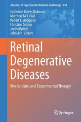 Retinal Degenerative Diseases