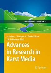 Advances in Research in Karst Media