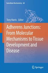 Adherens Junctions: from Molecular Mechanisms to Tissue Development and Disease