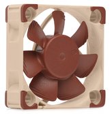 NOCTUA NF-A4x10 PWM - ventilátor, 40x40x10 mm