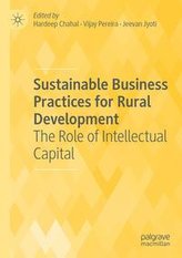 Sustainable Business Practices for Rural Development