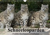 Schneeleoparden. Perfekte Raubkatzen-Schönheiten (Wandkalender 2022 DIN A4 quer)