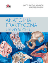 Anatomia praktyczna Układ ruchu