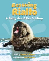 Rescuing Rialto: A Baby Sea Otter\'s Story