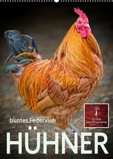 Hühner - buntes Federvieh (Premium, hochwertiger DIN A2 Wandkalender 2022, Kunstdruck in Hochglanz)
