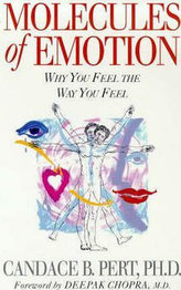 Molecules Of Emotion : Why You Feel The Way You Feel