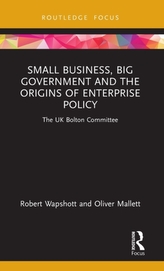 Small Business, Big Government and the Origins of Enterprise Policy