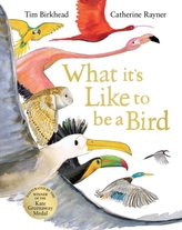 What it\'s Like to be a Bird
