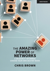 The Amazing Power of Networks