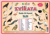 Sada 24 karet - zvířata (ptáci) A5