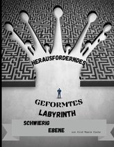 Herausforderndes geformtes Labyrinth Schwieriger Ebene