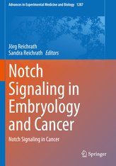 Notch Signaling in Embryology and Cancer