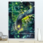 Die stillen Momente im Ohlsdorfer Friedhof (Premium, hochwertiger DIN A2 Wandkalender 2022, Kunstdruck in Hochglanz)