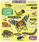 Brouci - Malý průzkumník