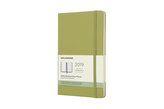 Moleskine: Plánovací zápisník 2019 tvrdý světle zelený L