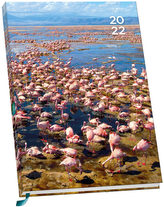 Diář A5 2022 BBC: Perfektní planeta (15,6 x 21,2 x 1,5 cm)