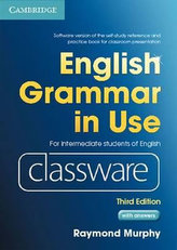 English Grammar in Use 3rd edition: Classware DVD-ROM