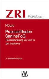 Praxisleitfaden Reorganisation und Restrukturierung