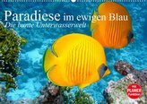 Paradiese im ewigen Blau. Die bunte Unterwasserwelt (Wandkalender 2022 DIN A2 quer)