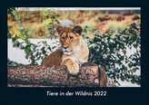 Tiere in der Wildnis 2022 Fotokalender DIN A4