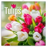 Poznámkový kalendář Tulipány 2019, 30 x