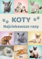 Koty Najciekawsze rasy