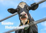 Sanfte Holsteiner (Wandkalender 2022 DIN A2 quer)