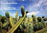 Faszination Kakteen (Wandkalender 2022 DIN A2 quer)