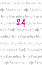Junjo Romantica 24